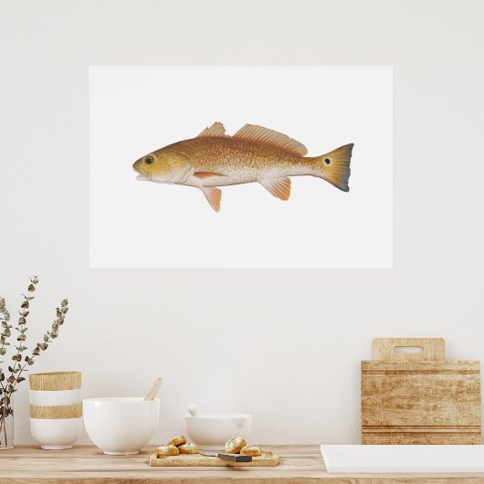 Rode vis - Rood drum Poster (Keuken)
