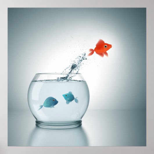 rode vis springt poster (Voorkant)