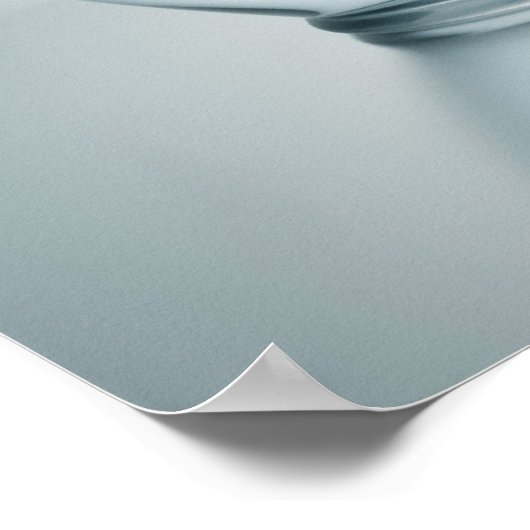 rode vis springt poster (Hoek)