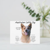 Rode vlek Australische vee hond geschiedenis Briefkaart (Staand voorkant)