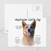 Rode vlek Australische vee hond geschiedenis Briefkaart (Voorkant / Achterkant)
