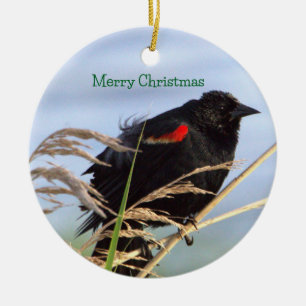Rode-vleugelspreeuwornament keramisch ornament