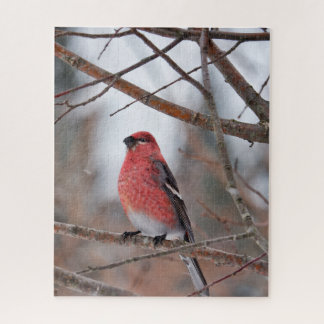 Rode Vogel in Wintersneeuw Legpuzzel