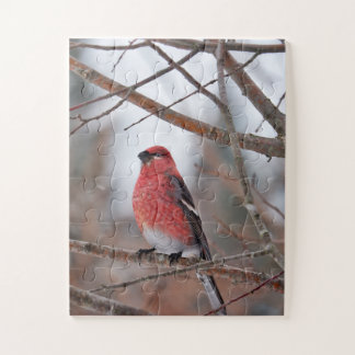 Rode Vogel in Wintersneeuw Legpuzzel