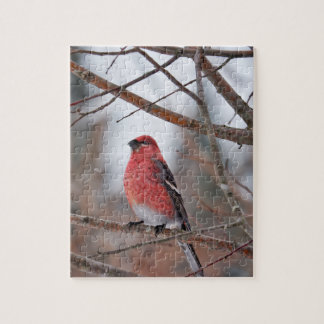 Rode Vogel in Wintersneeuw Legpuzzel