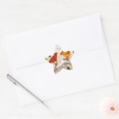 Rode vogels. Zing van liefde Ster Sticker (Envelop)