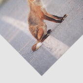 Rode vos aan de zijkant van de weg tissuepapier (Detail)