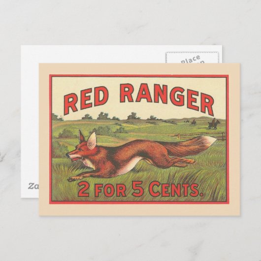  rode vos briefkaart (Voorkant / Achterkant)