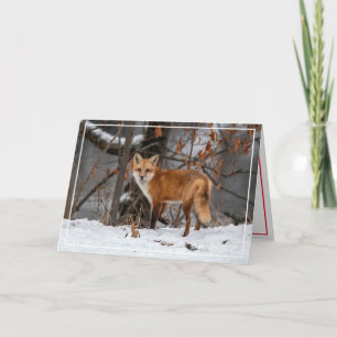 Rode Vos in de Sneeuw Kerstkaart Feestdagen Kaart