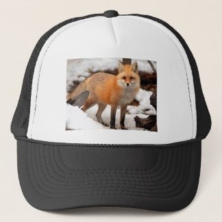 Rode vos in de sneeuw trucker pet