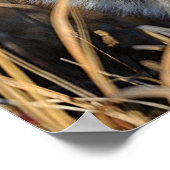 Rode vos in het onkruid poster (Hoek)