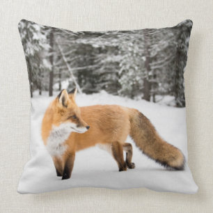 Rode vos in witte sneeuw kussen