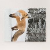 Rode vos in witte sneeuw legpuzzel (Horizontaal)