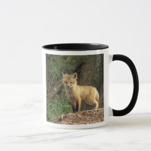 Rode vos jong voor zijn hol (Vulpes vulpes) Mok