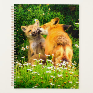 Rode Vos Jongen Planner Bos Dieren Kunst