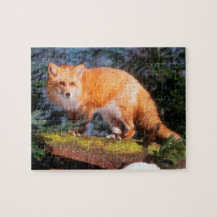 Rode Vos op een stam Legpuzzel