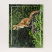 Rode vos op een voetstuk legpuzzel (Verticaal)