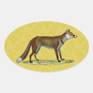 rode vos ovale sticker