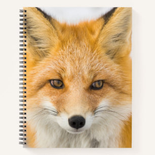 Rode Vos Portret Notitieboek