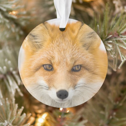 Rode Vos Portret Ornament (Boom)