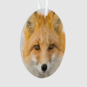 Rode Vos Portret Ornament (voorkant)