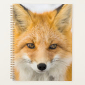 Rode Vos Portret Planner (Voorkant)