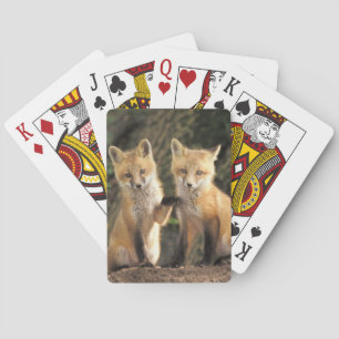 Rode vos pup voor de hol (Vulpes vulpes) Pokerkaarten