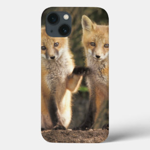 Rode vos pup voor de ingang van het hol (Vulpes vu iPhone 13 Hoesje