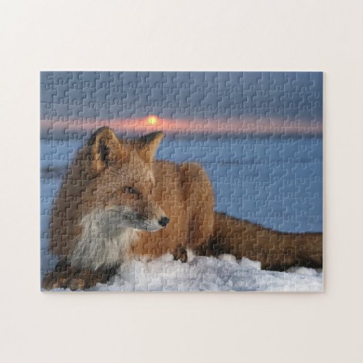 Rode Vos Spel Puzzel (Horizontaal)