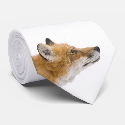 Rode vos stropdas (Opgerold)