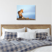 rode vos, Vulpes vulpes Canvas Afdruk (Insitu (Slaapkamer))