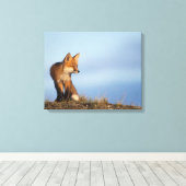 rode vos, Vulpes vulpes Canvas Afdruk (Insitu (Houten vloer))