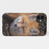rode vos, Vulpes vulpes, in herfstkleuren Case-Mate iPhone Case (Achterkant (horizontaal))