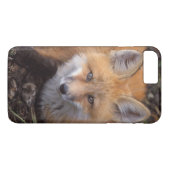 rode vos, Vulpes vulpes, in herfstkleuren Case-Mate iPhone Case (Achterkant (Horizontaal))
