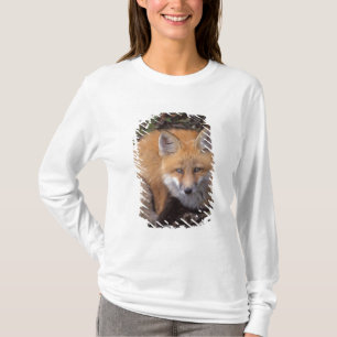 rode vos, Vulpes vulpes, in herfstkleuren T-shirt