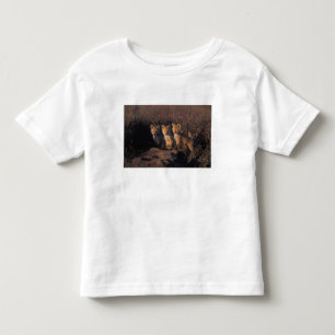 rode vos, Vulpes vulpes, jongen Kinder Shirts