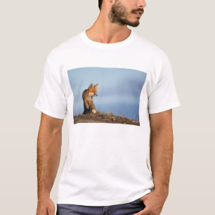 rode vos, Vulpes vulpes T-shirt