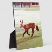 rode vosfoto fotoplaat (Zijkant)