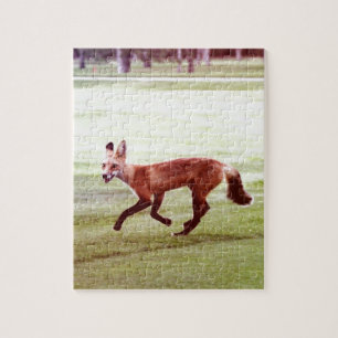 rode vosfoto legpuzzel