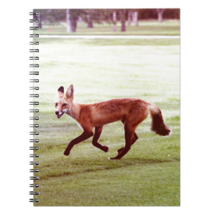 rode vosfoto notitieboek