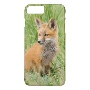 Rode voskit in gras bij hol iPhone 8 plus / 7 plus hoesje