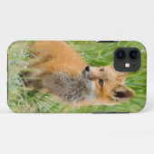 Rode voskit in gras bij hol Case-Mate iPhone case (Achterkant (horizontaal))