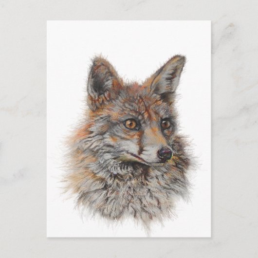 rode vossen briefkaart (Voorkant)