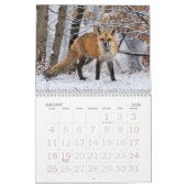 Rode vossen het hele jaar kalender (Jan 2026)