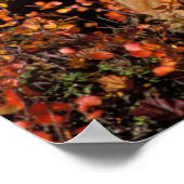 rode vossen, vulpes, in valkleuren langs poster (Hoek)