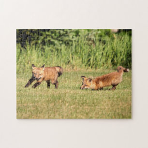 Rode Vossenjongens Spelen Legpuzzel