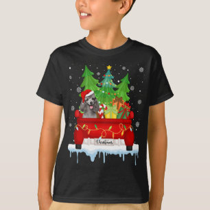 Rode Vrachtwagen Vrolijke Kerstboom Kerstmis Poodl T-shirt