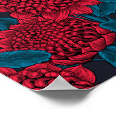 Rode waratabloemen poster (Hoek)