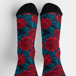 Rode waratah bloemen sokken