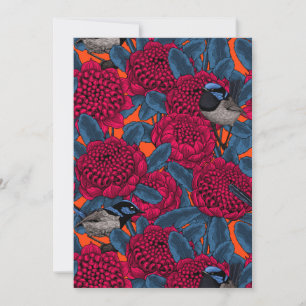 Rode waratah en sprookjes